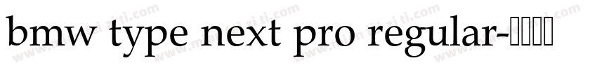 bmw type next pro regular字体转换